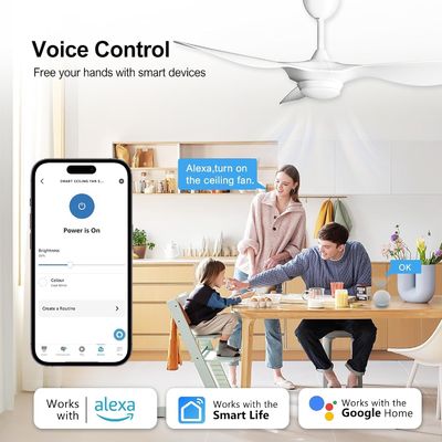 6 속도 52 인치 천장 팬 조명 원격 음성 및 APP 제어